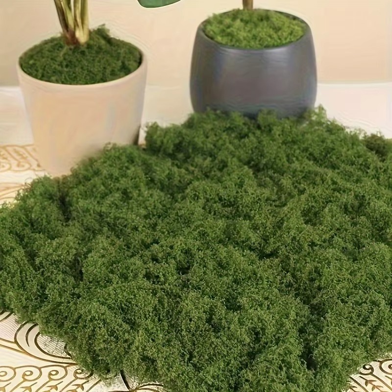 Terrarium Moss Art - 50g สีเขียวปลอม Moss งานฝีมือ DIY หญ้าประดิษฐ์