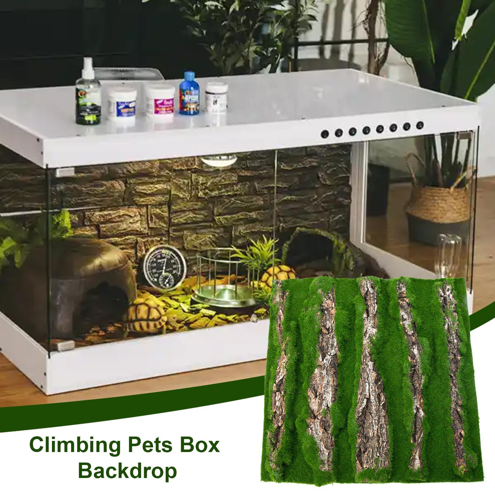 ของตกแต่งพื้นหลังตู้เลี้ยงสัตว - Terrarium Moss Art บทวิจารณ์และราคา