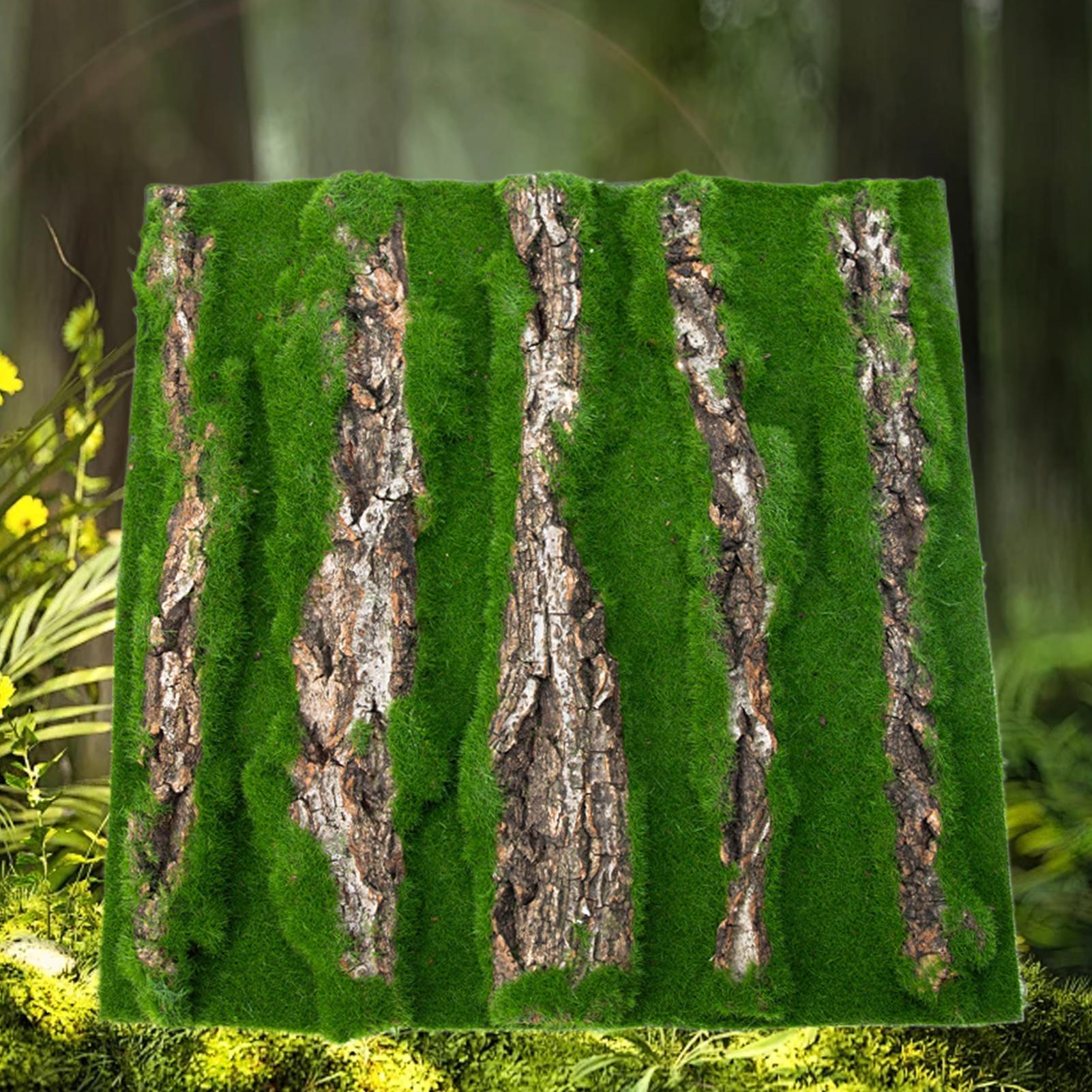 ของตกแต่งพื้นหลังตู้เลี้ยงสัตว - Terrarium Moss Art บทวิจารณ์และราคา