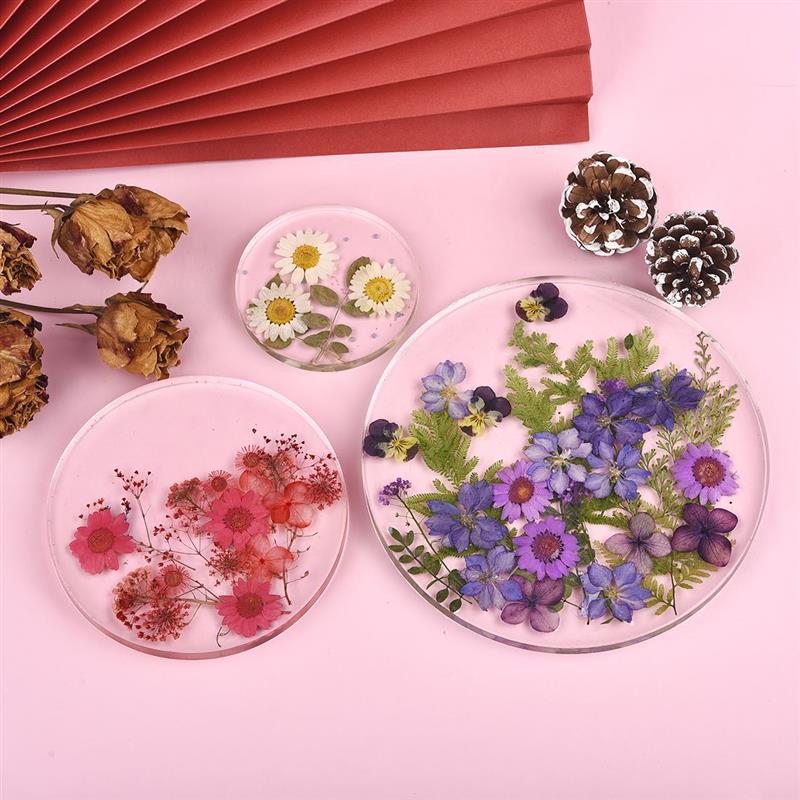 รูปสี่เหลี่ยมผืนผ้าสี่เหลี่ยม  - Coaster Mold Round บทวิจารณ์และราคา