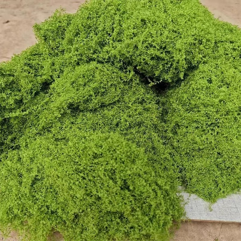 50g สีเขียวปลอม Moss งานฝีมือ  - Terrarium Moss Art บทวิจารณ์และราคา