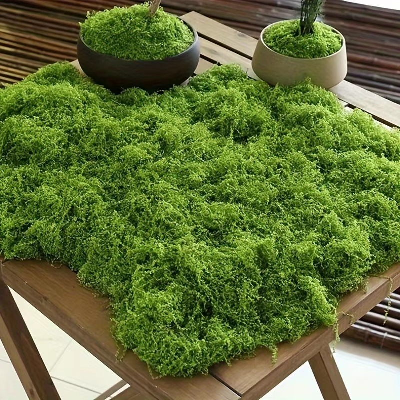 50g สีเขียวปลอม Moss งานฝีมือ  - Terrarium Moss Art บทวิจารณ์และราคา