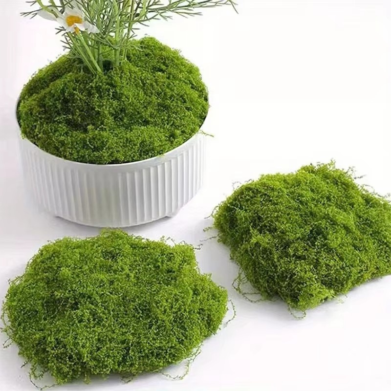50g สีเขียวปลอม Moss งานฝีมือ  - Terrarium Moss Art บทวิจารณ์และราคา