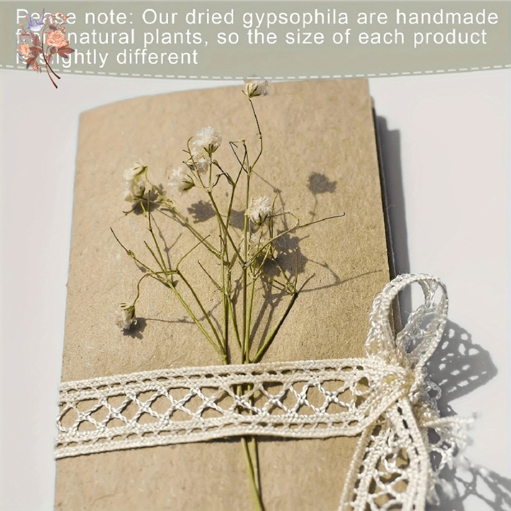 ดอกยิปโซฟิล่าแห้งขนาดเล็ก 100  - Resin Craft Ideas บทวิจารณ์และราคา